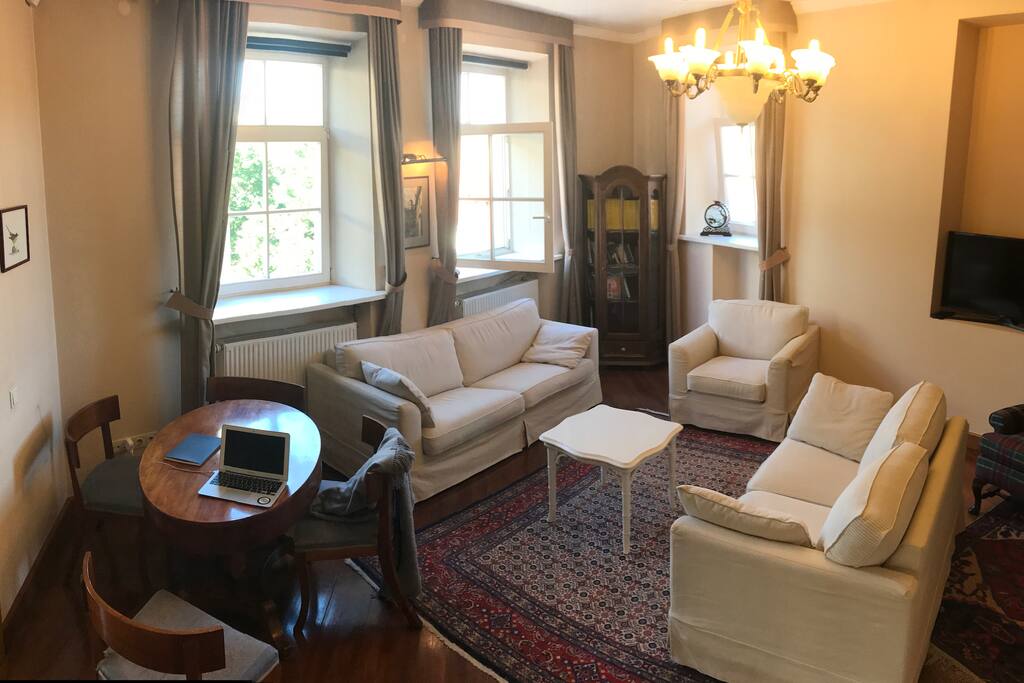 Living area with dining table/desk
