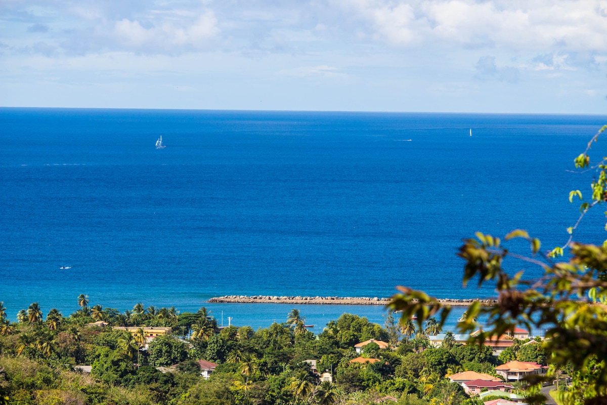 A panoramic view captures the deep blue ocean meeting the sky, with a distant sailboat gliding across the water. Lush greenery frames the scene, offering glimpses of coastal residences and a serene shoreline extending towards a breakwater.