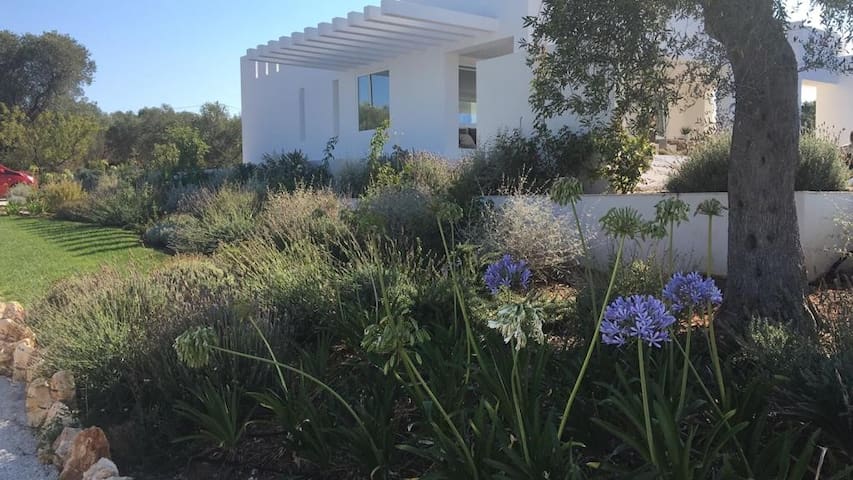 AMAZING ARCHITECTS VILLA SEA VIEW gallery image 3