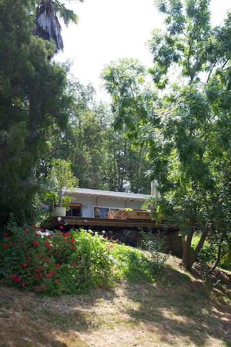 view of house from bottom yard