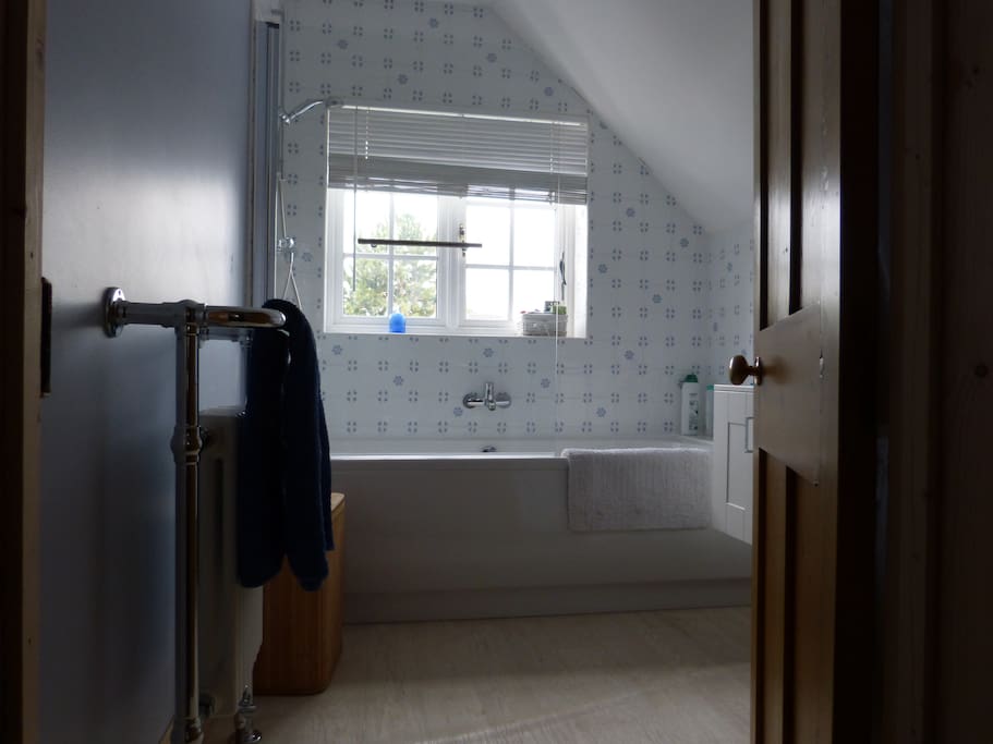 Guest's bathroom with shower, basin and toilet