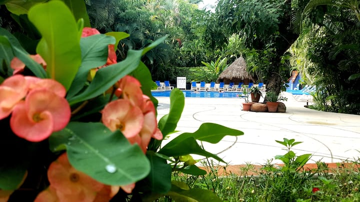 Tropical Vibe & Pools, Great Location Near Beach
