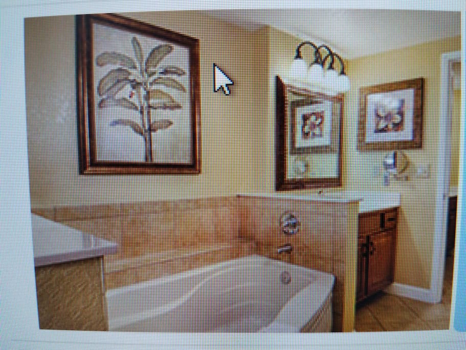 Master bath, jetted tub, and bathroom sink.