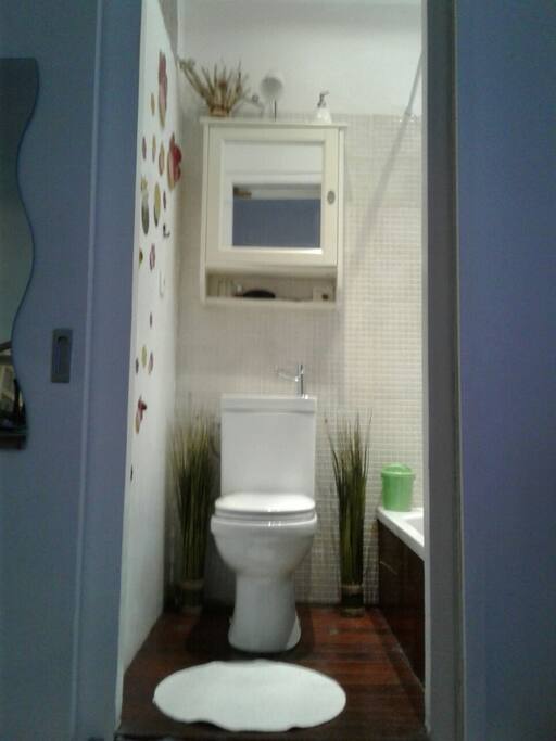 Un plus: coin privé : toilette ,lavabo et douche privées attenante à ma chambre dans la chambre rien que pour vous