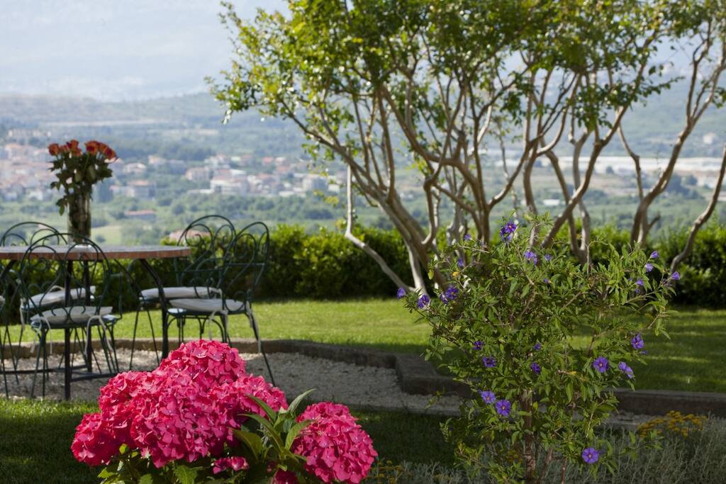 Beautiful garden area
