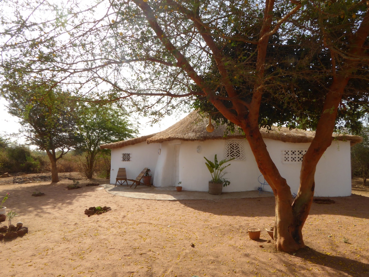 A round, white structure with a thatched roof is surrounded by a sandy area dotted with sparse vegetation. Two wooden chairs are positioned on a small patio, offering a shaded spot under trees. The building features decorative ventilation windows.