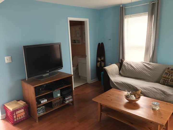 Living room with full bathroom. TV has playstation 3, DVDs, and Firestick