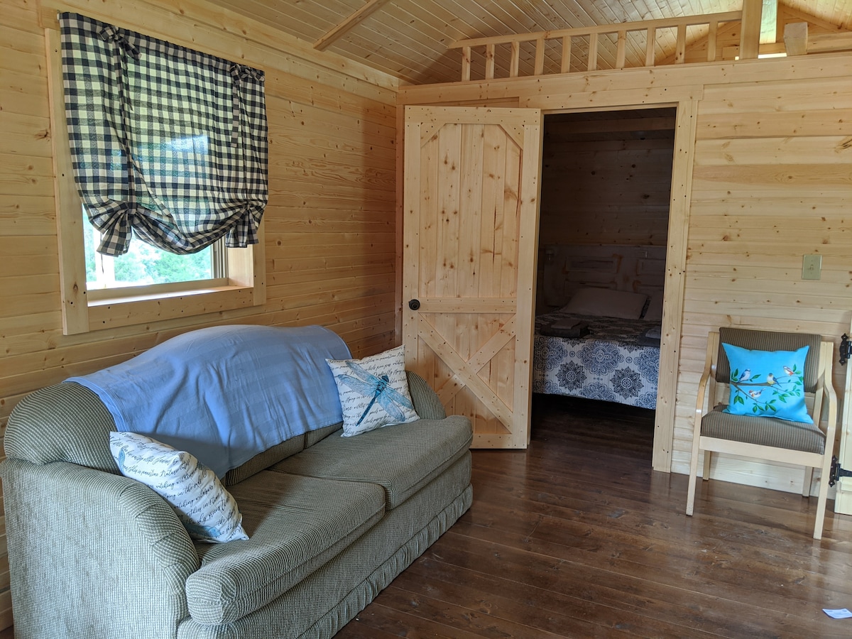 An inviting living area features a comfortable sofa adorned with decorative pillows. Sunlight filters through a checked curtain, illuminating the wooden walls. A doorway leads to a cozy bedroom, enhancing the sense of warmth and privacy in the cabin.
