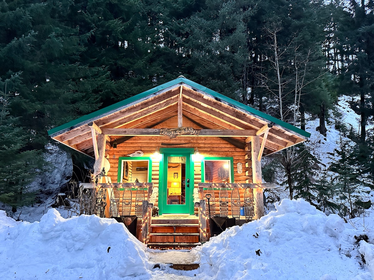 The log cabin is nestled among evergreen trees, framed by a snowy landscape. The porch features steps leading to the entrance, where warm light glows from inside. A vibrant teal trim highlights the structure, contrasting with the natural surroundings.