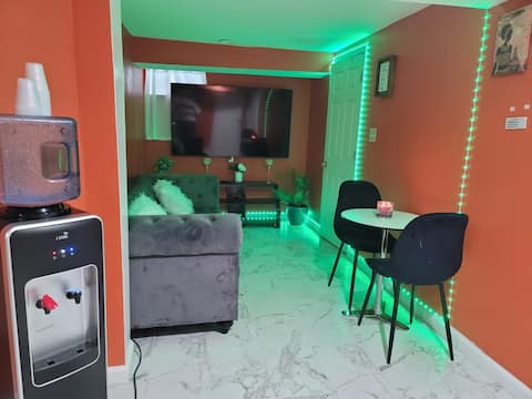 1 bedroom for 1 GUEST ONLYin a beautiful basement.
