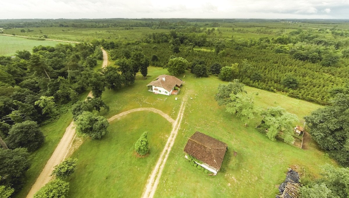 An aerial view showcases a spacious green landscape, featuring a charming house surrounded by trees and open fields. A winding dirt path leads towards the house, while a rustic structure with a thatched roof is visible nearby, blending seamlessly into the natural surroundings.