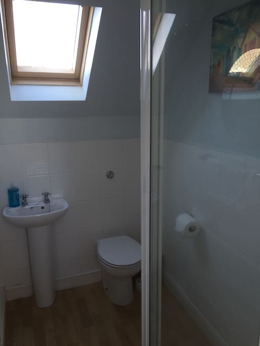 Functional bathroom with toilet, basin and shower.