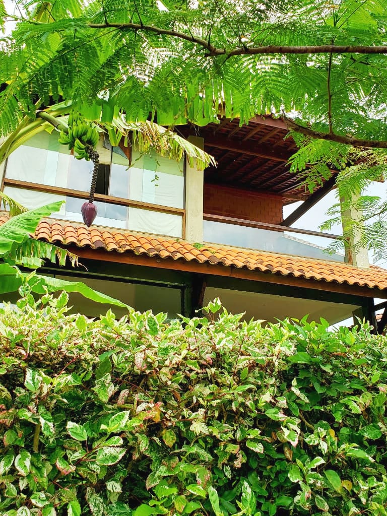 The exterior of a two-story chalet is visible, surrounded by lush greenery and tropical plants. A tiled roof accents the wood structure, and large glass windows provide a glimpse of the indoor spaces. Vibrant green foliage frames the image, enhancing the natural setting.