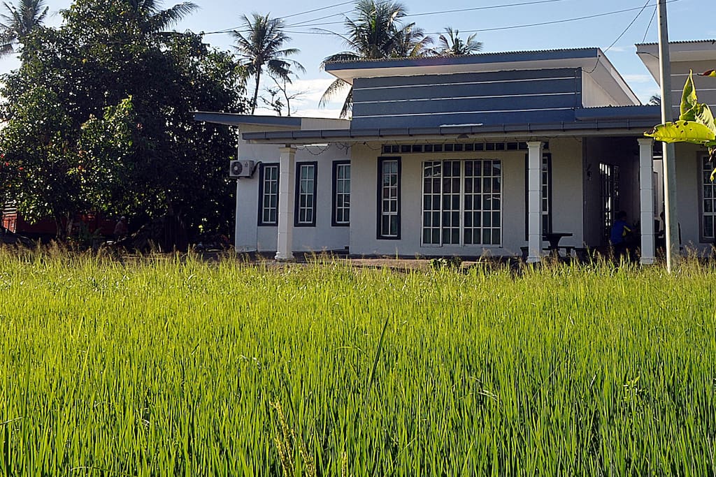 Fronting paddy field