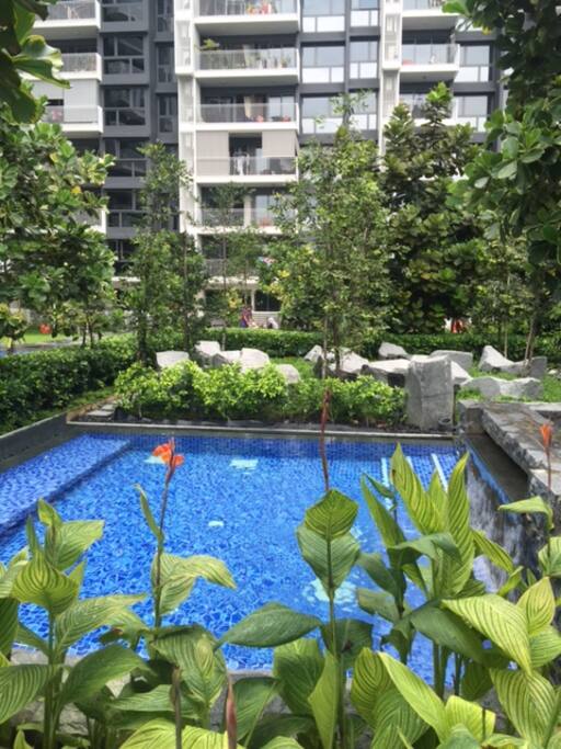 Thermal hot pool with jacuzzi