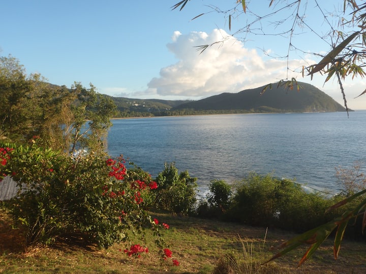 Cafeiere Vacation Rentals & Homes Cafeiere, Deshaies, Guadeloupe Airbnb