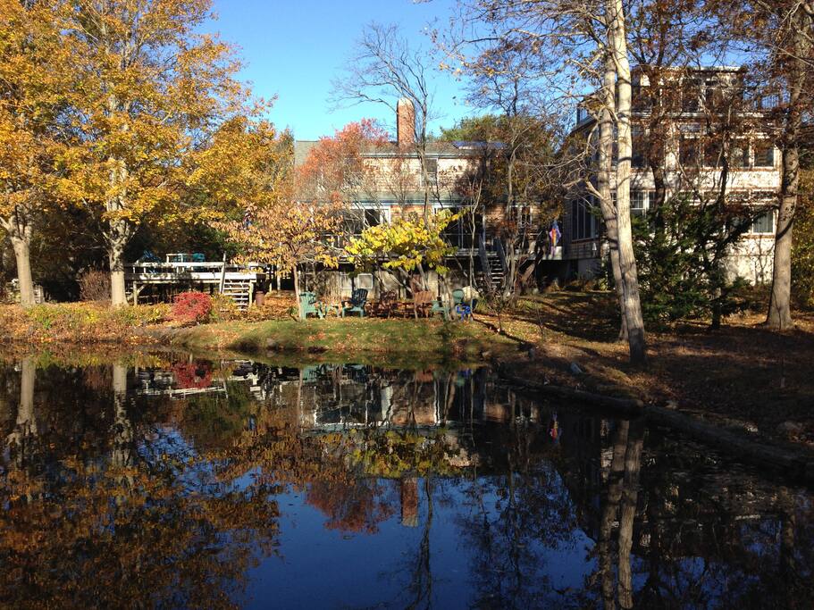 Fall