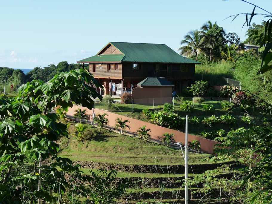 View of house from roadside circa 2008 - trees now provide more privacy