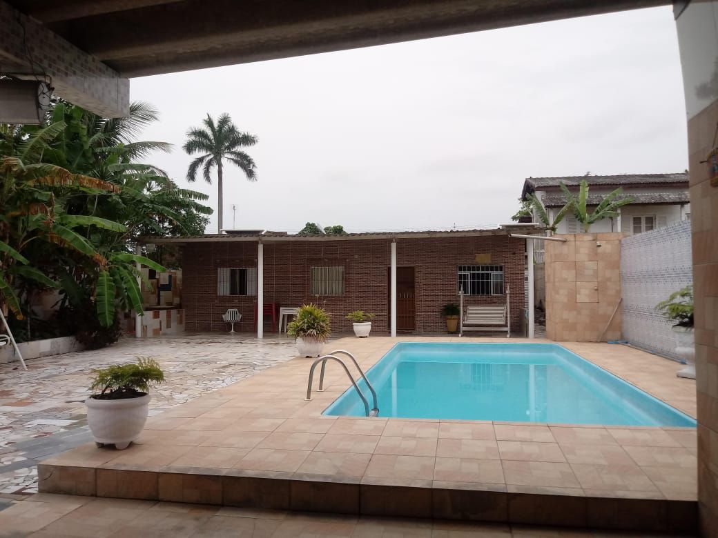 A spacious outdoor area features a swimming pool surrounded by tiled flooring. Lush greenery is visible, with large leafy plants and potted flowers adding to the environment. A shaded seating area is present in the distance, and the surrounding area is enclosed for privacy.
