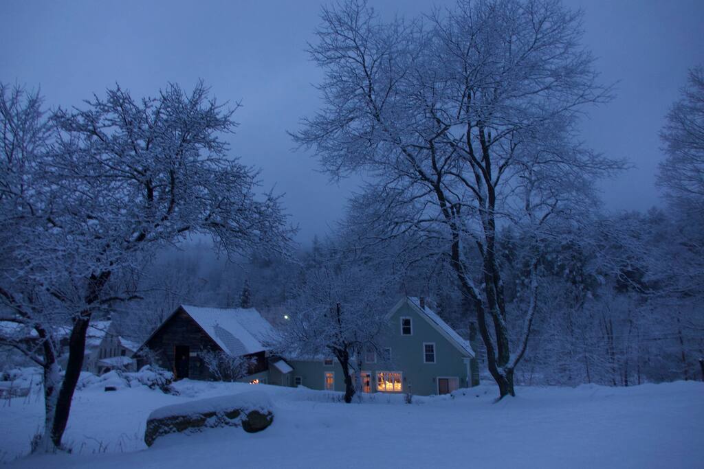 Our snowy and lovely backyard.