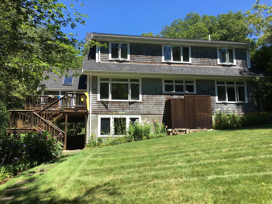 The Backyard & Lawn