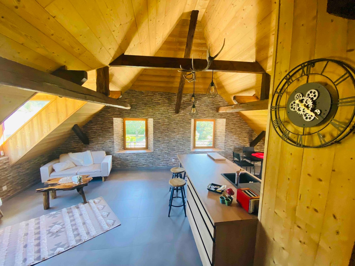 Top performing Airbnb: The Nest of Lake Annecy cozy, air-conditioned Near lake in Saint Jorioz