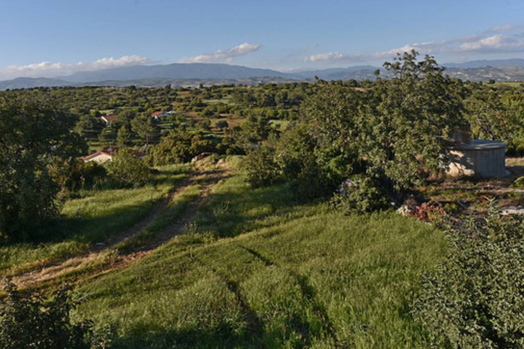 Country Side View