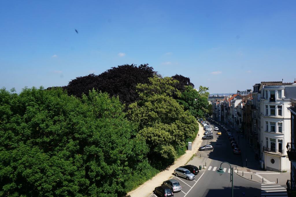 VUE VERS LE PARC