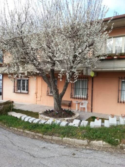 il giardino