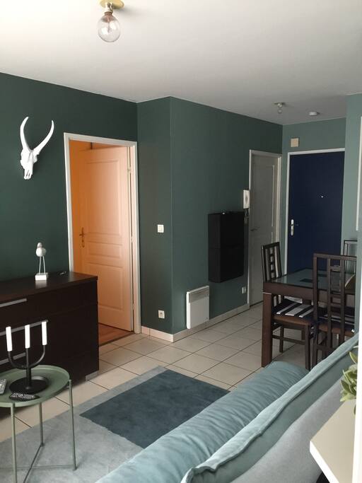 Salon + salle à manger ( table 4 chaises)