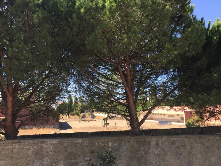 View from the bedroom window