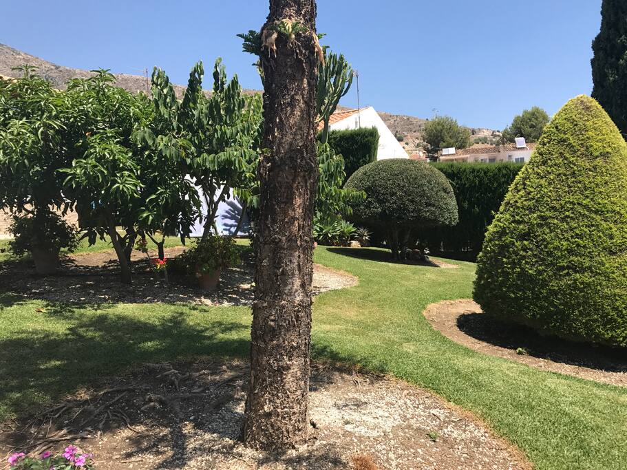 Jardin