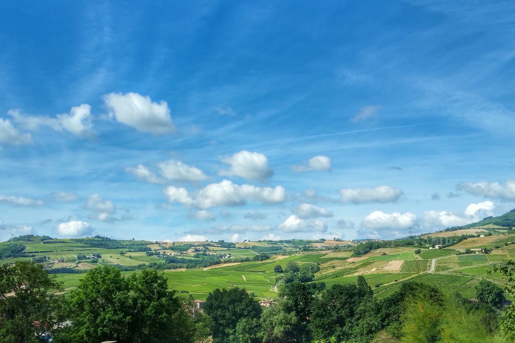 Depuis la maison, une vue imprenable sur les vignobles environnants