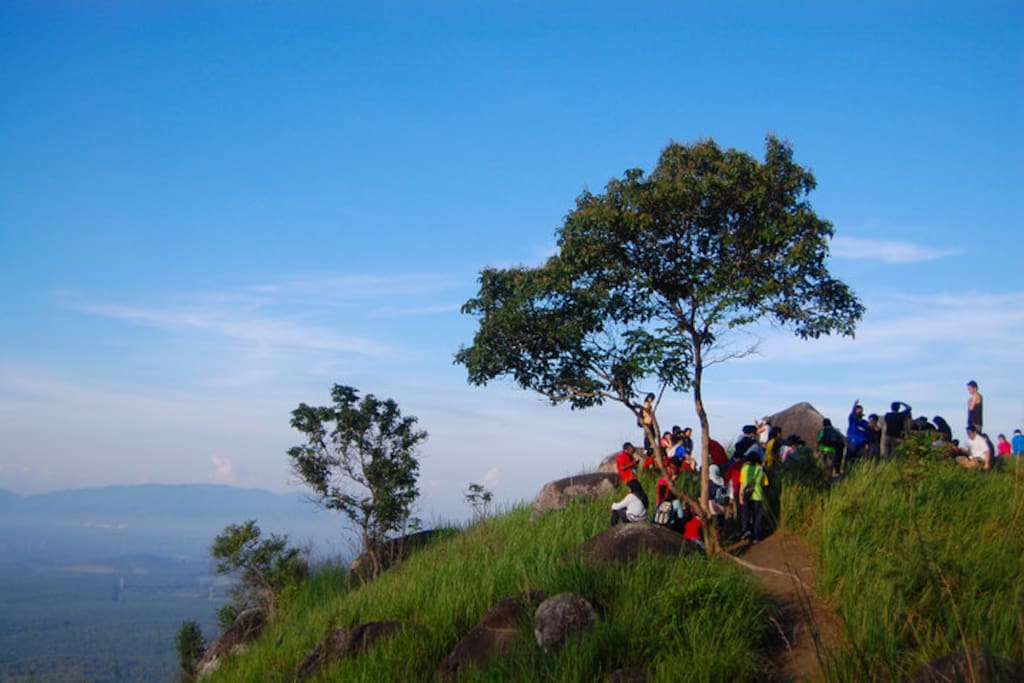 On the top of Broga Hill