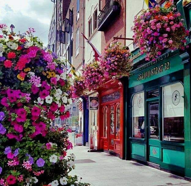 A vibrant streetscape is presented, showcasing colorful shopfronts framed by hanging flower baskets filled with blooming pink, purple, and white flowers. The buildings feature a blend of rich red and green hues, enhancing the lively atmosphere of the area.
