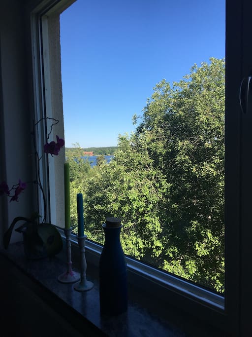 View from kitchen