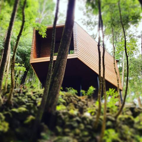 Lodge Floresta