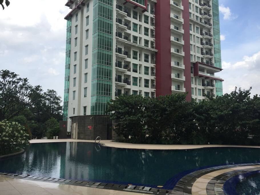 Adult pool 1