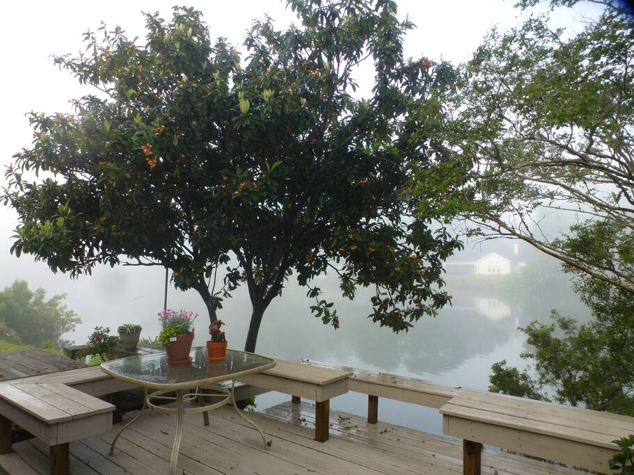 Mist in the morning....