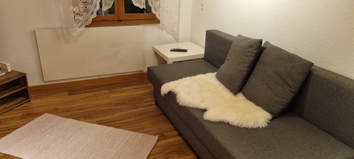 Gemütliche 1,5 Zimmer Wohnung - Frutigen