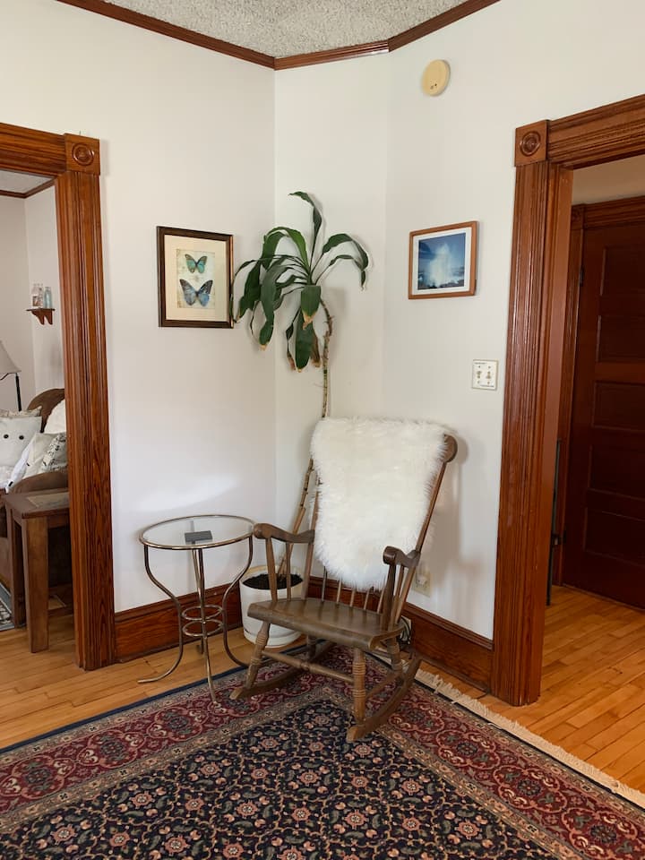 Odie's Cute 1 Bedroom Apartment - Manchester, NH