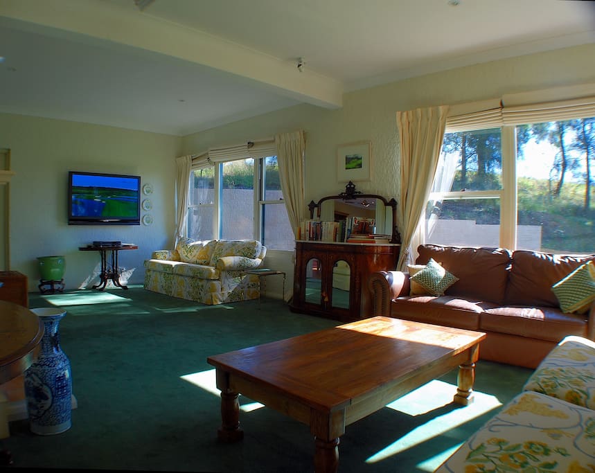 Spacious Living Room With Foxtel And Fireplace
