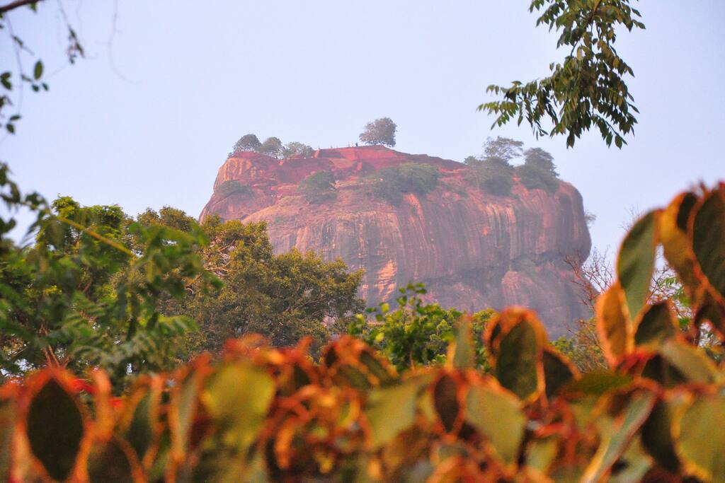 Lion Rock View From Rock View Niel's Home Stay