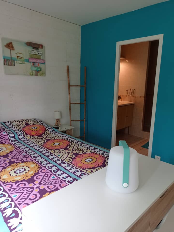 Master bedroom with bathroom and toilet