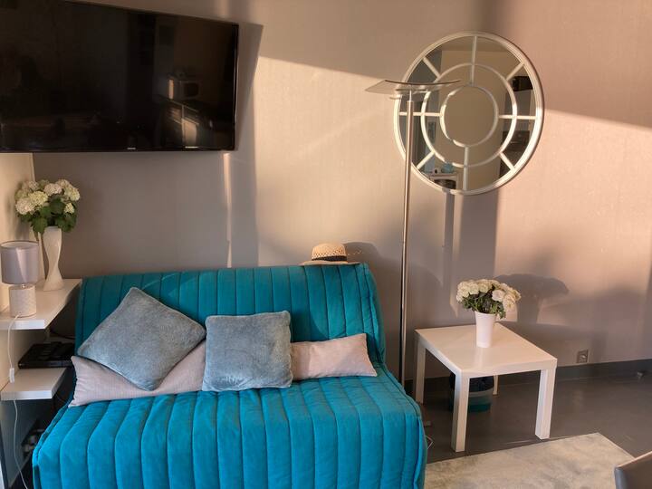 Sebule - Kitanda cha sofa na televisheni