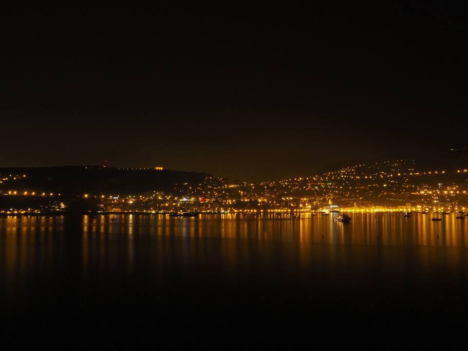 view from the terrace
