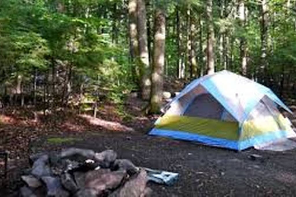 Camp in the woodlands and enjoy the wildlife and wonders of nature