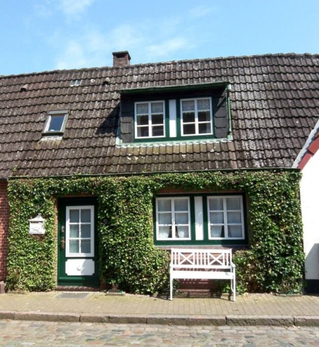 Das EfeuNest