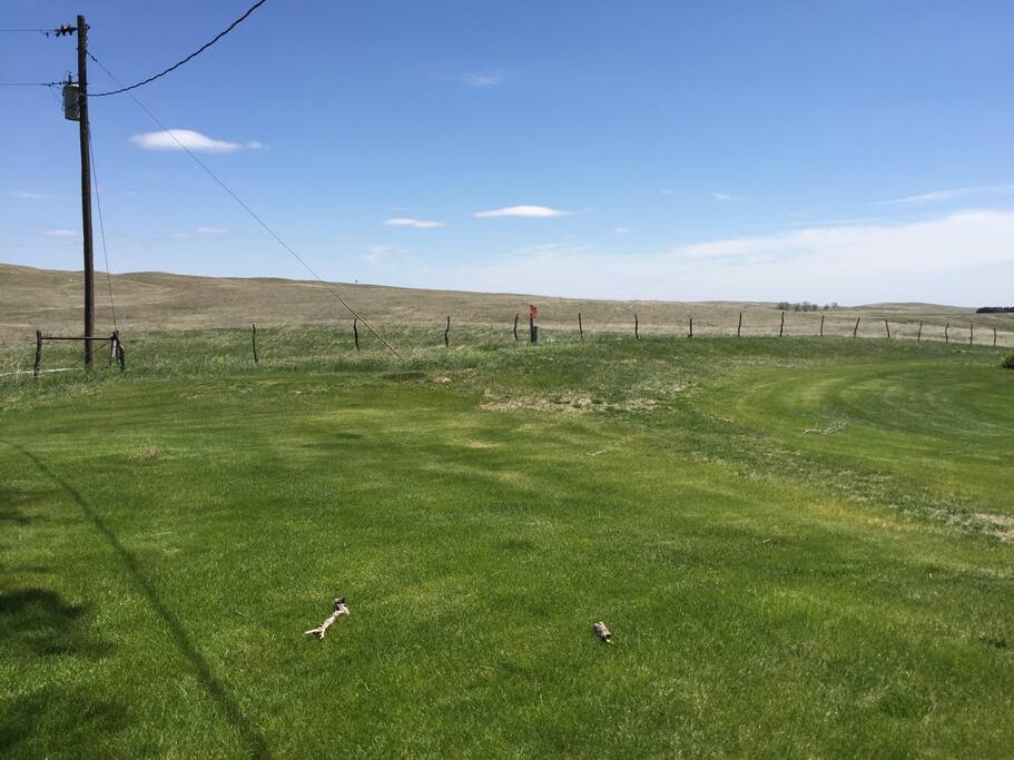 pasture view