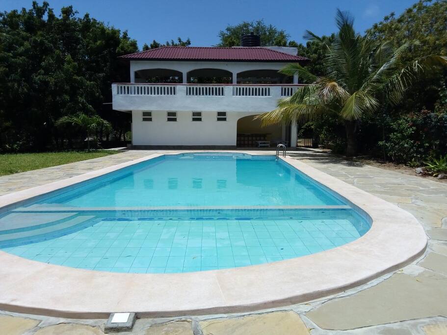 swimming pool and bar